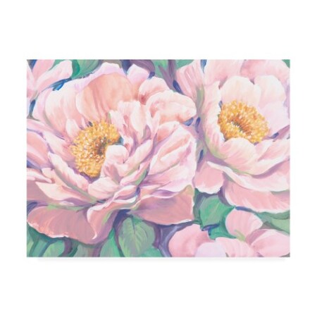 Trademark Fine Art Tim OToole 'Peonies in Bloom II' Canvas Art, 35x47 WAG16486-C3547GG